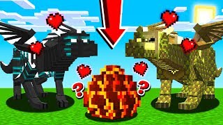 How to BREED NEW DRAGONS in Minecraft [upl. by Eneryc]