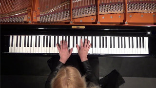 Valentina Lisitsa BEETHOVEN quotAppassionataquot Piano sonata No 23 Fminor op 57 on Bösendorfer [upl. by Islaen646]