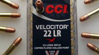 CCI Velocitor 22 LR Ammo Review [upl. by Alemak]