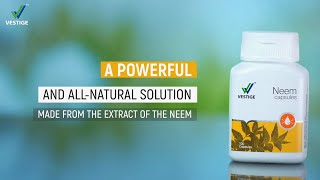 Vestige Neem Capsules  Product AV Hindi [upl. by Ojela]