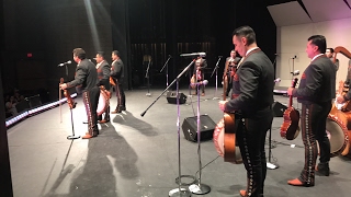 Mariachi Los Camperos 2017 [upl. by Harraf]