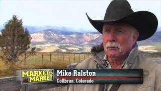 Cattle buyer works to build herds out West [upl. by Becky]