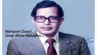 Malai Nasodha Narayan Gopal [upl. by Nashoma]