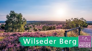 Der Wilseder Berg das Herz der Lüneburger Heide [upl. by Hodges]