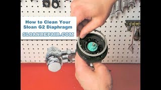 G2 Diaphragm Cleaning [upl. by Nhguaval106]