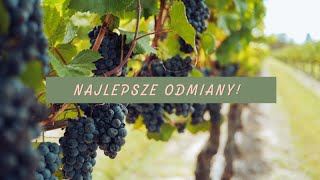 NAJLEPSZE ODMIANY WINOGRON 🍇 Odporne na choroby i smaczne [upl. by Siro]