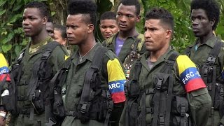 Colombie les derniers jours des Farc Reporters [upl. by Ayotac]