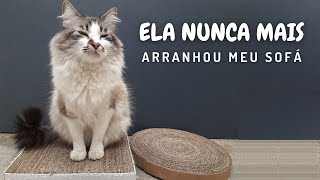 Arranhador para Gato com Papelão  2 modelos  aprenda como fazer esse DIY para seu gato [upl. by Verity570]