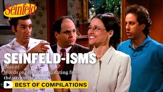 Seinfeldisms A Guide  Seinfeld [upl. by Eirrac984]