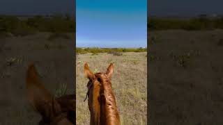 Benbrook Stables Trails [upl. by Walford679]