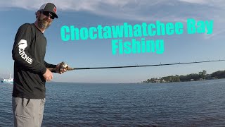 GREAT FISHING from Shore in the Choctawhatchee Bay [upl. by Tsui106]