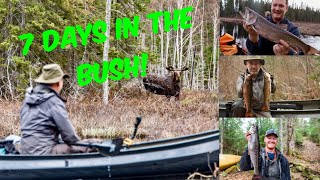 7 Days In the Bush Survival Fishing Adventure in the Wilderness [upl. by Urbana311]