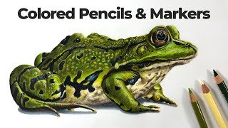 How to Draw with Markers and Colored Pencils  Frog [upl. by Damita]