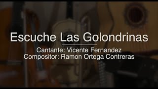 Escuche Las Golondrinas  Puro Mariachi Karaoke  Vicente Fernandez [upl. by Orion912]