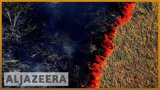 Amazon burning Brazil reports record surge in forest fires [upl. by Arracat909]