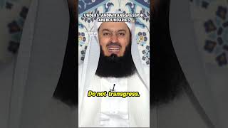 Understanding Transgression and Boundaries  Mufti Menk  shorts viralreels viralshort [upl. by Saval42]