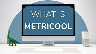 What is Metricool [upl. by Aivatco]