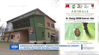 Expoziția de fotografie quotAnimale din grădina cu legumequot la Muzeul de Științe Naturale Roman [upl. by Reddy]