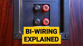 BiWiring Explained  How to Bi Wire Speakers [upl. by Shurwood504]