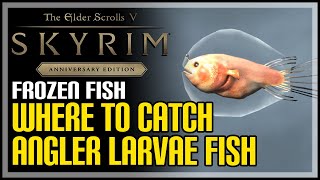 Angler Larvae Location Skyrim How to Catch Angler Larvae Fish [upl. by Osher]