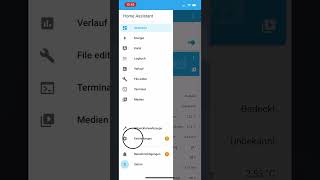 In Home Assistant WLANVerbindung nutzen WiFi [upl. by Aihtenyc]