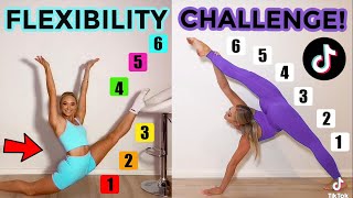 FLEXIBILITY TIK TOK CHALLENGE TWIN VS TWIN [upl. by Sada469]