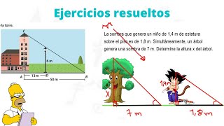 🔺🔻SEMEJANZA De Triángulos Ejercicios Resueltos  TRIÁNGULOS SEMEJANTES [upl. by Hbaruas251]