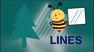 Learn about which lines are parallel intersecting or perpendicular [upl. by Alphonsine]