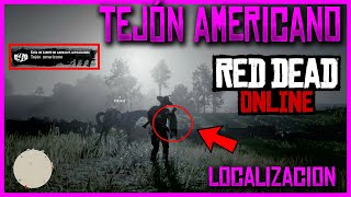 TEJON AMERICANO LOCALIZACION RED DEAD ONLINE [upl. by Solange640]