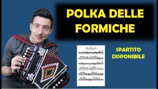 Polka delle formiche  SPARTITO PER ORGANETTO  Antonello Laurino [upl. by Auhsuoj]