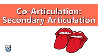 CoArticulationː Secondary Articulation [upl. by Elleiram]