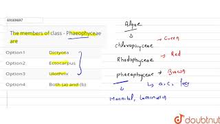 The members of class  Phaeophyceae are [upl. by Idelia]