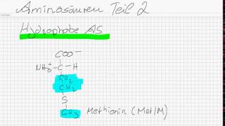 Aminosäuren Teil 2 22 [upl. by Nivanod]