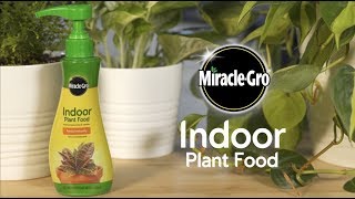 How to Feed Houseplants Using MiracleGro® Indoor Plant Food [upl. by Anole]