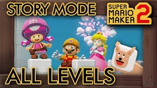 Super Mario Maker 2  All 120 Story Mode Levels [upl. by Delwin337]