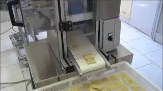 Raviolatrice  Ravioli Machine PR90 [upl. by Eilujna]