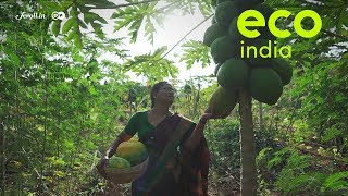 Eco India How can farmers thrive without using chemical fertilisers [upl. by Sucramej117]