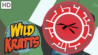 Wild Kratts  Brilliant Bugs Creature Powers  Kids Videos [upl. by Tizes767]