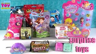 Splashlings Squinkies Disney Num Noms Teen Titans Blind Bag Opening Fun  PSToyReviews [upl. by Anattar]