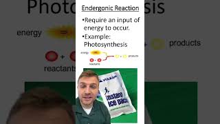 Exergonic Vs Endergonic reactions [upl. by Auqenet120]