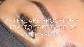 Microblading Aftercare  How to take care of your Microbladed Brows [upl. by Amick797]