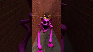 CHOOSE YOUR FAVORITE CATNAP POPPY PLAYTIME CHAPTER 3 CHARACTERS  BIG MAZE in Garrys Mod [upl. by Assenaj]