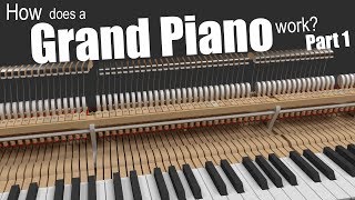 How does a Grand Piano work  Part 1 [upl. by Lunneta304]