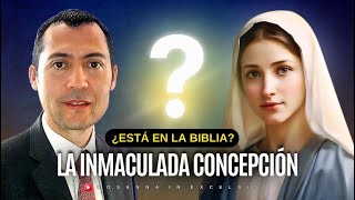 La Inmaculada Concepción ¿Está en la biblia [upl. by Sarita15]