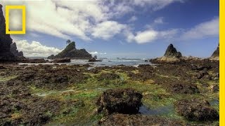 Olympic National Park  America’s National Parks [upl. by Irehj290]