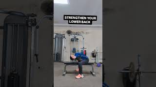 SEATED GOOD MORNINGAN EFFECTIVE LOWER BACK STRENGTHENING EXERCISE cricketlowerbacktipsfitness [upl. by Simah]