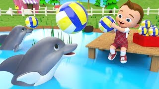 Little Baby Play Dolphins Balls at Pool Learn Numbers for Children Kids Educational Videos [upl. by Atiral]