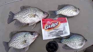 Crappie Fishing With The Berkley Gulp Minnow [upl. by Gawlas661]