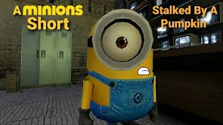 A Minions Short Stalked By A Pumpkin [upl. by Nide291]