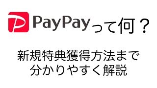 PayPayとは何？徹底的に分かりやすく解説！利用メリットから新規登録特典の獲得方法まで [upl. by Sheedy]